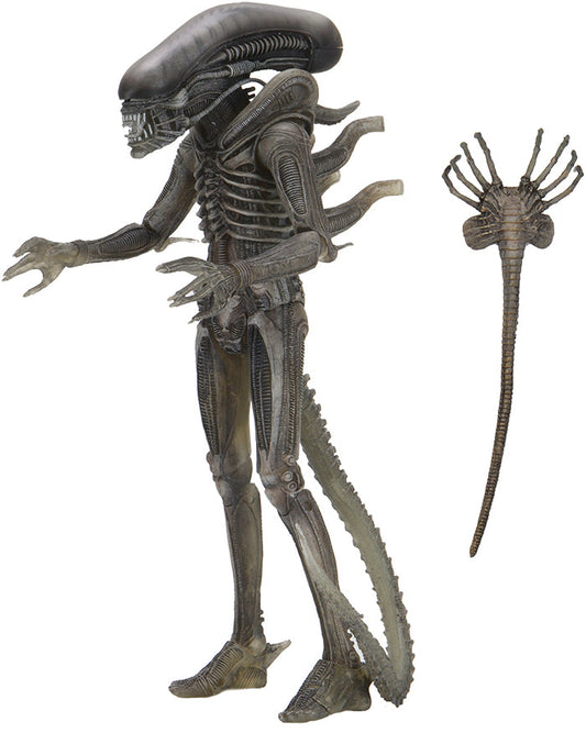 Alien 40th Anniversary 7 Inch Action Figure Series 4 - Giger's Alien (Shelf Wear Packaging)