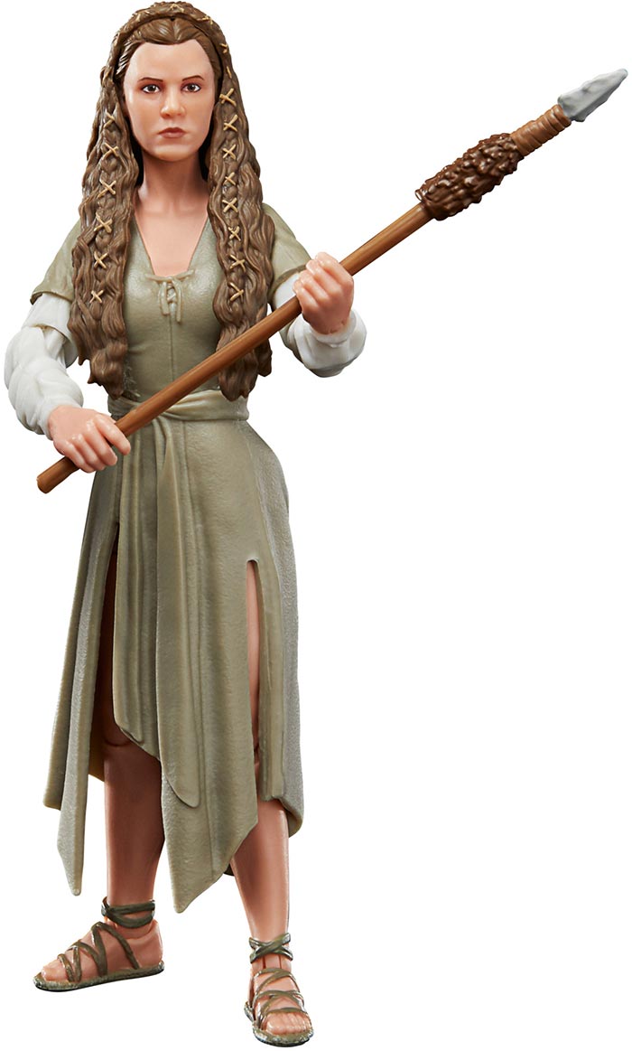 Star Wars The Black Series 6 Inch Action Figure Box Art (2022 Wave 2) - Princess Leia (Ewok Village)