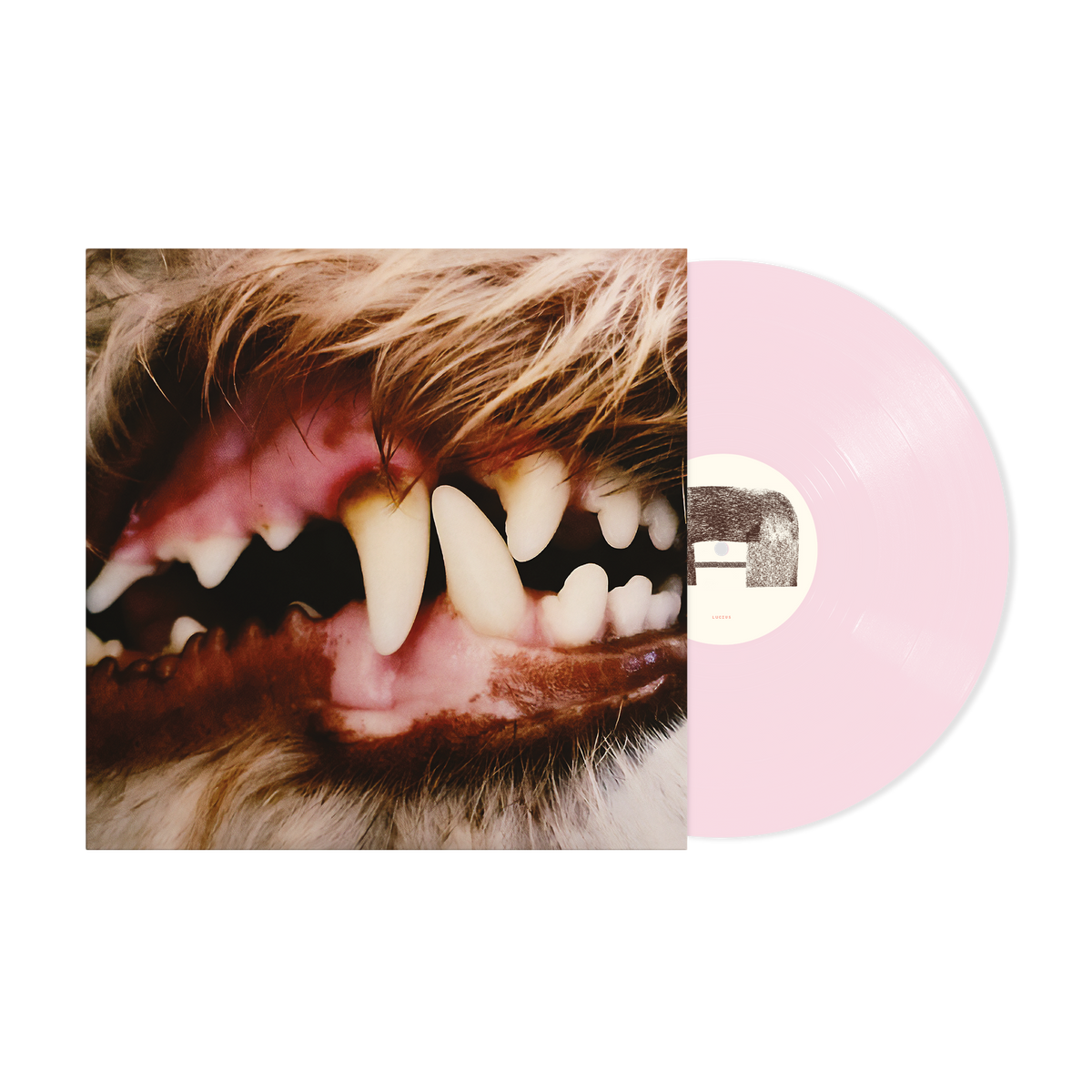 Lucius (Opaque Pink Edition) - Lucius [Colour Vinyl]
