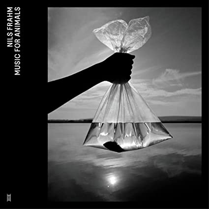 Music for Animals:   - Nils Frahm [CD]