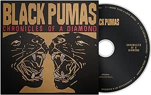 Chronicles of a Diamond - Black Pumas [CD]