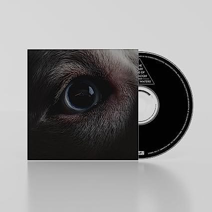 Products Dark Side of the Moon Redux - Roger Waters [CD]