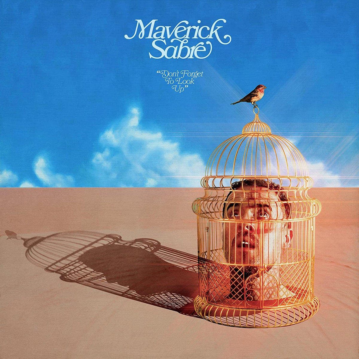 Don't Forget To Look Up - Maverick Sabre [CD]