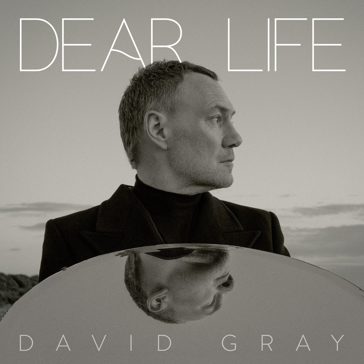 Dear Life - David Gray [CD]