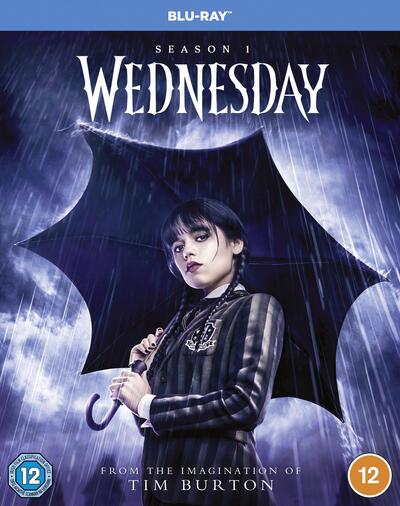 Wednesday: The Complete First Season - Alfred Gough [BLU-RAY]