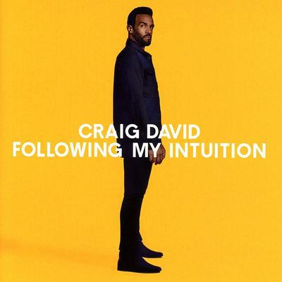 Following My Intuition:   - Craig David [CD]