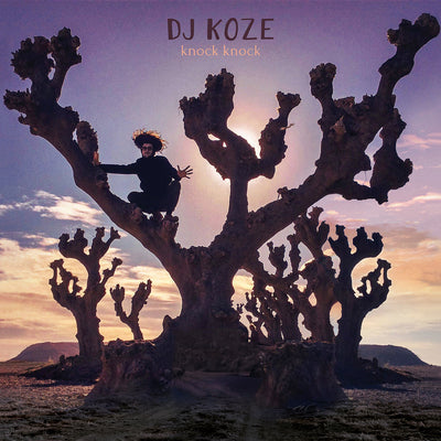 Knock Knock - DJ Koze [VINYL]