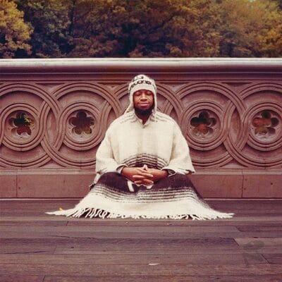 Segue to Infinity:   - Laraaji [VINYL]