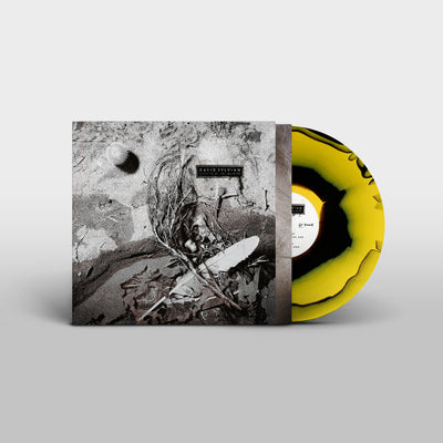 Secrets of the Beehive - David Sylvian [VINYL]