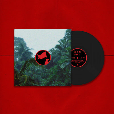 Colour Space Transform - Group A.D. [VINYL]